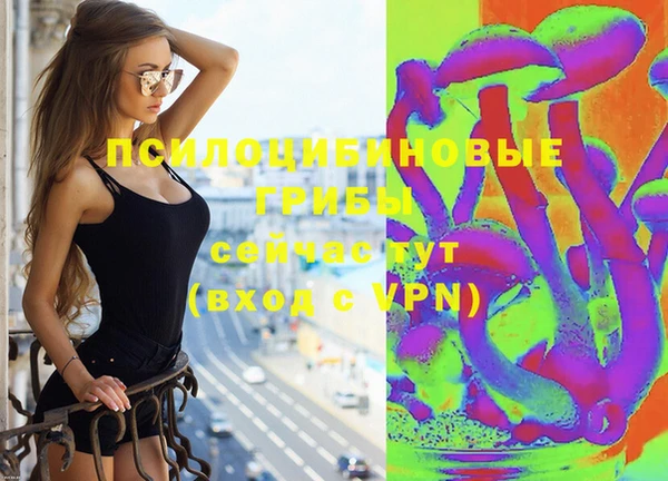 стаф Алексин