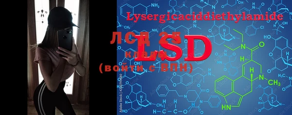 PSILOCYBIN Алзамай