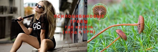 PSILOCYBIN Алзамай